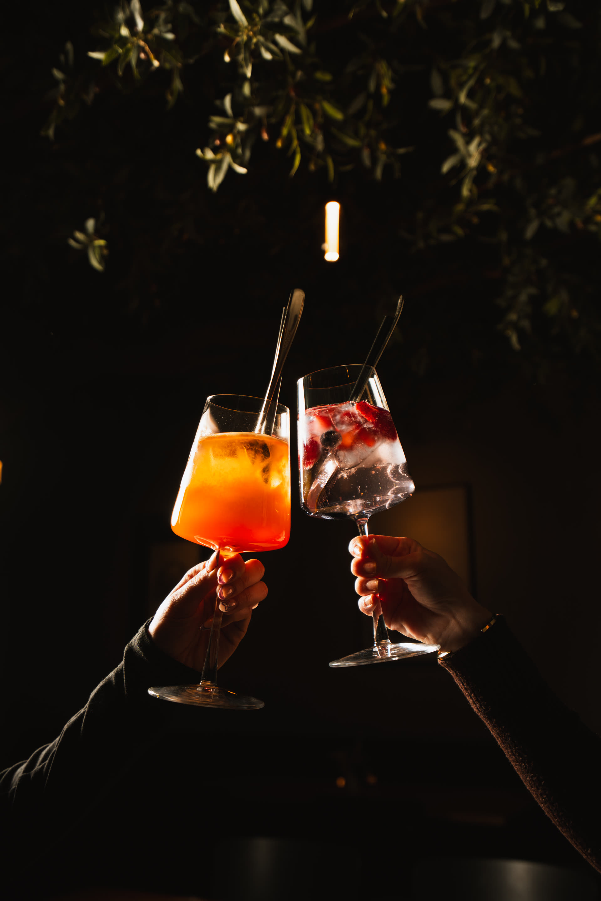 Bar-Cinematic · 2026